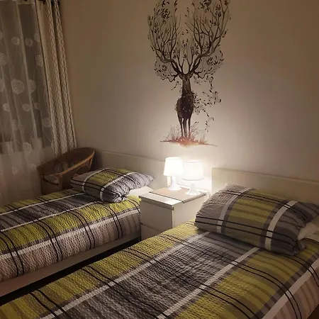 公寓 贝尔布里克民宿公寓 威斯巴登